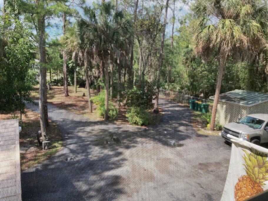"Mia'S Place" Beautiful Private Apartment Surrounded By Nature Naples Exterior photo